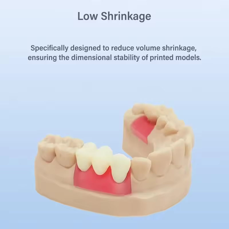 Resin Model Gigi Sementara Ant - 3D Printing Orthodontics ulasan dan harga