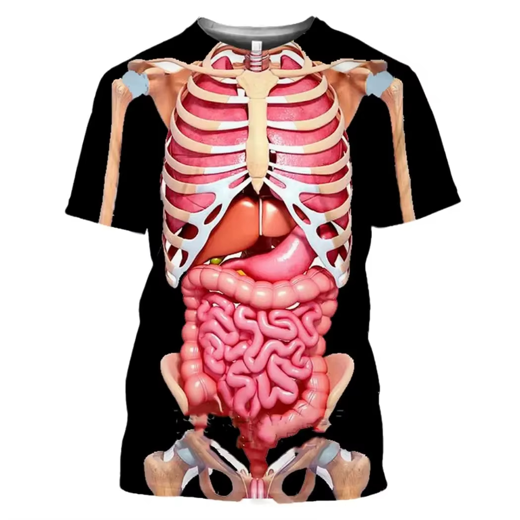 Kaus Cetak 3D Organ Dalam Kera - 3D Printing Diagram ulasan dan harga