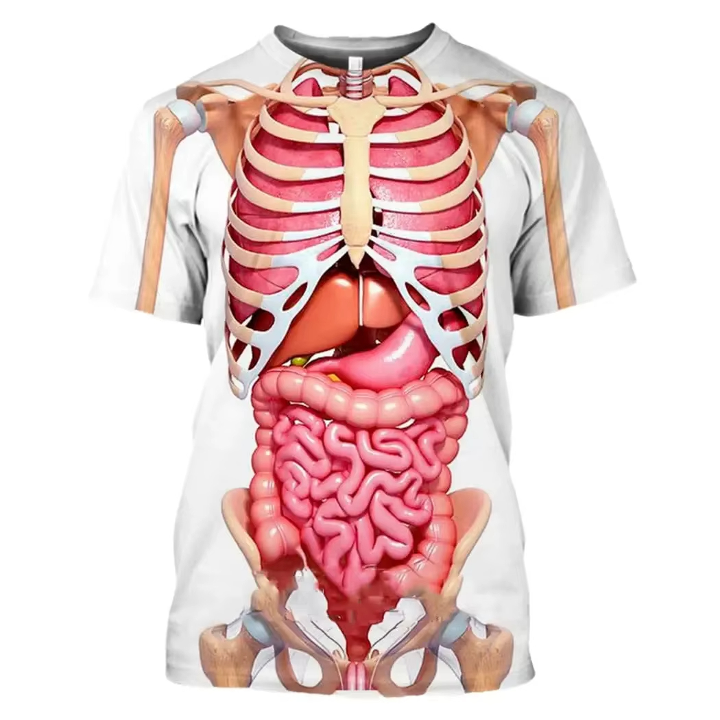 Kaus Cetak 3D Organ Dalam Kera - 3D Printing Diagram ulasan dan harga