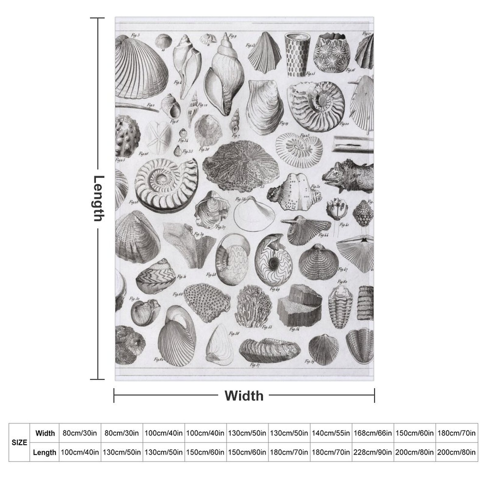 1857 Diagram Paleontologi: Sel - 3D Printing Diagram ulasan dan harga