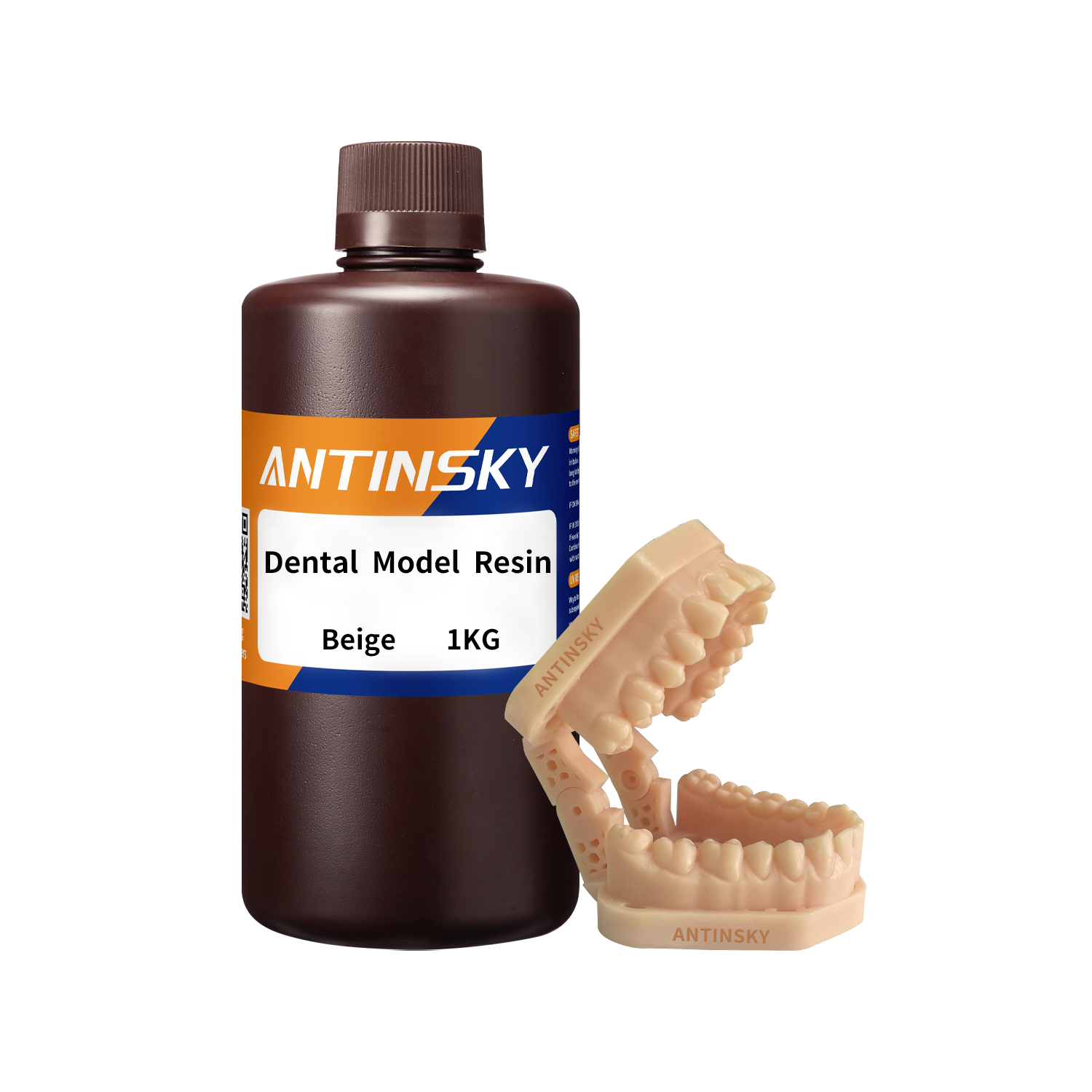 Resin Model Gigi Antinsky 405n - 3D Printing Orthodontics ulasan dan harga