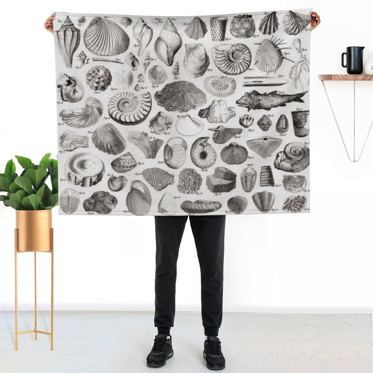 1857 Diagram Paleontologi: Sel - 3D Printing Diagram ulasan dan harga