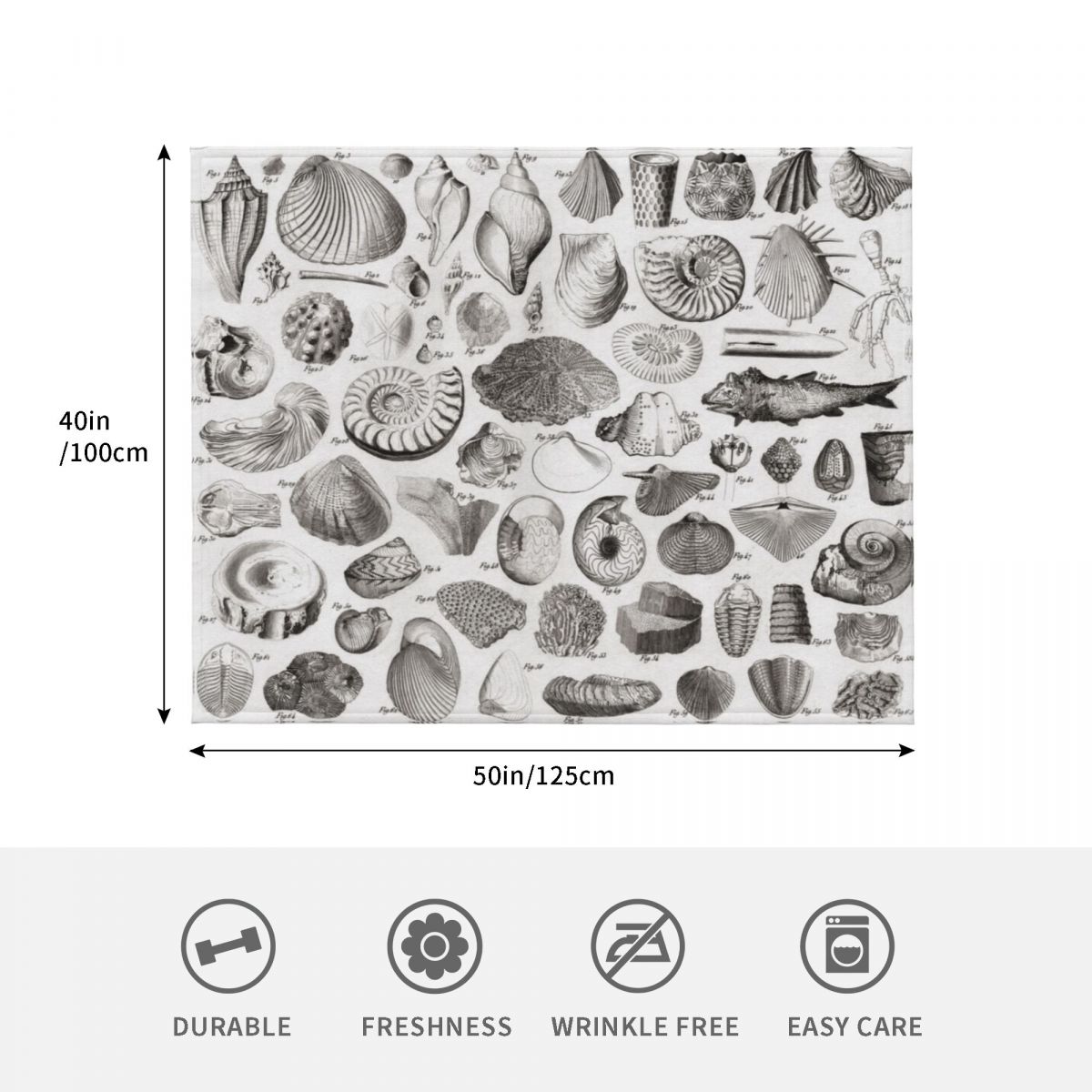 1857 Diagram Paleontologi: Sel - 3D Printing Diagram ulasan dan harga